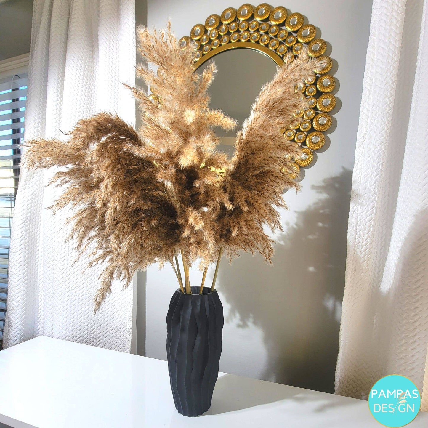 White Pampas Grass Large Fluffy 10 Stems 2ft to 2.5ft: Grey