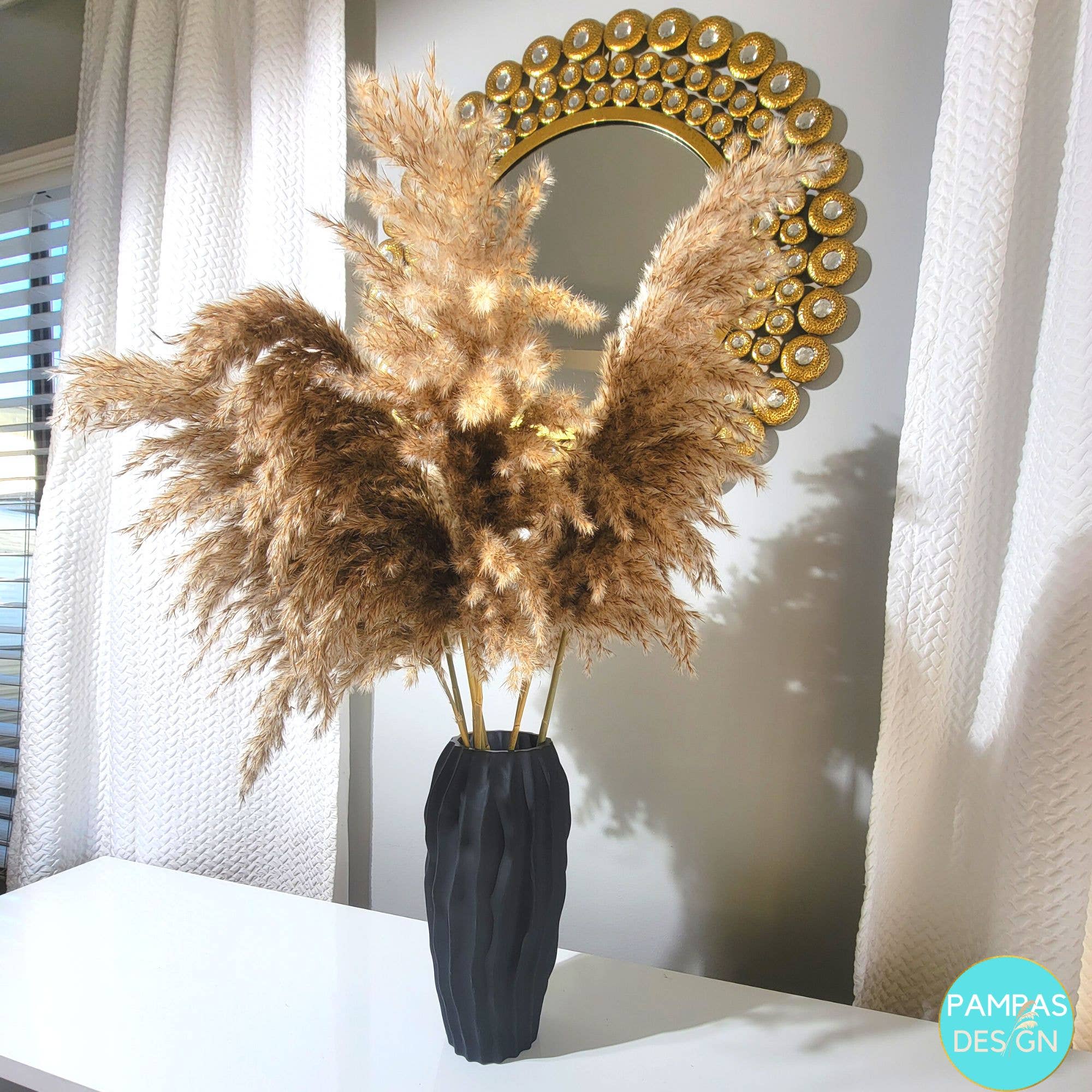 White Pampas Grass Large Fluffy 10 Stems 2ft to 2.5ft: Grey