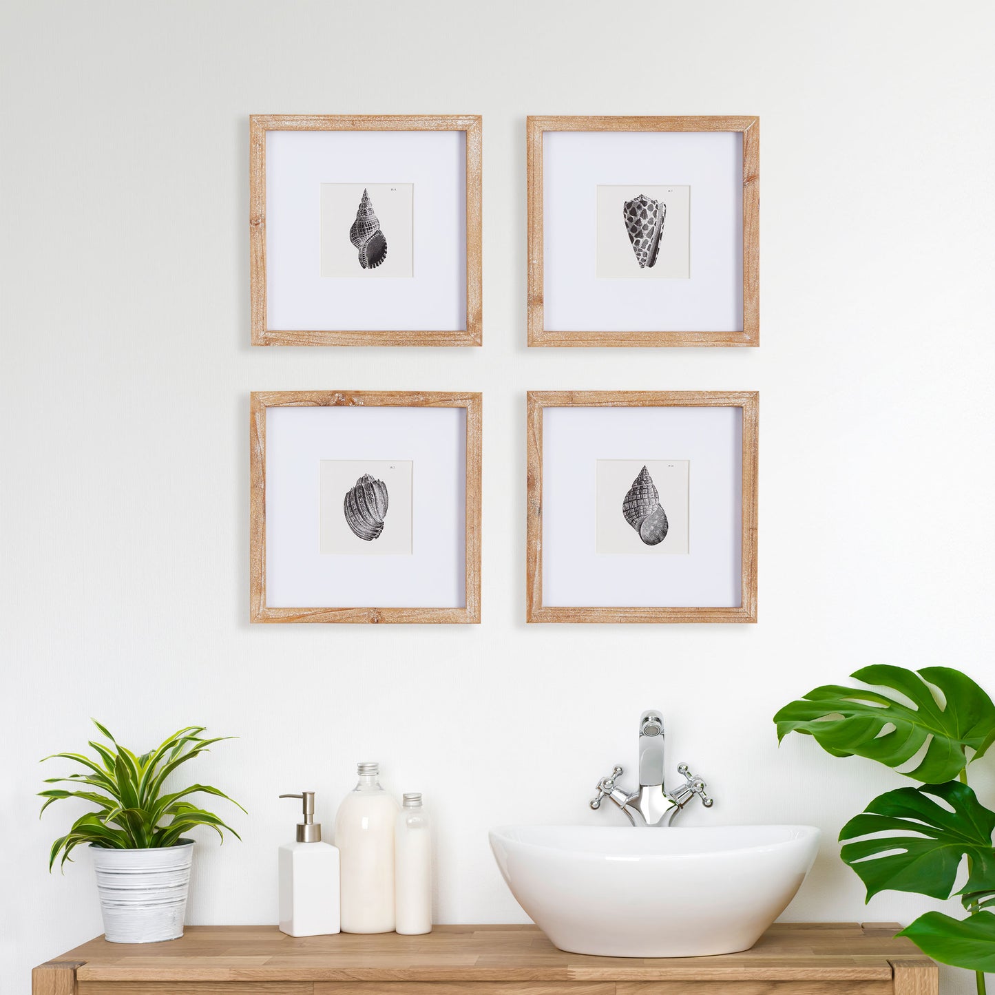 SEASHELL PETITE PRINTS, SET OF 4