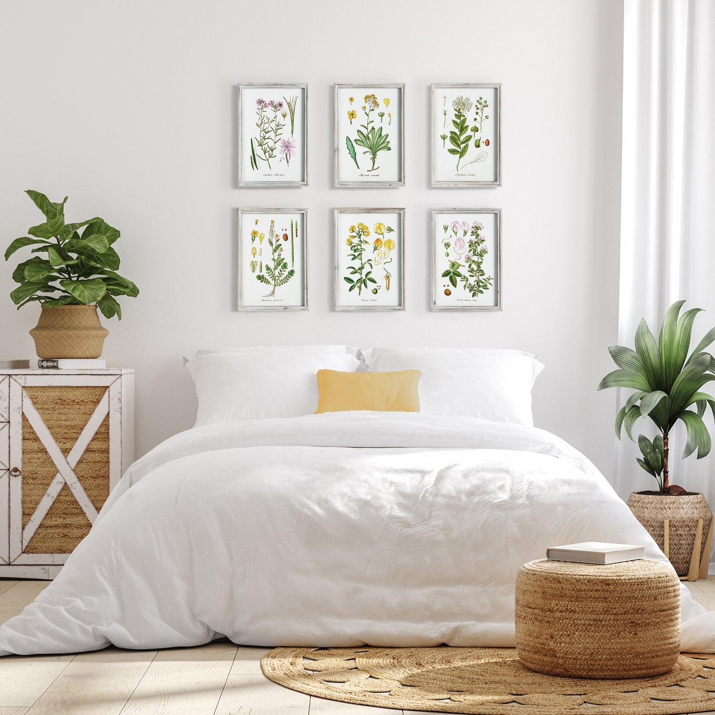 PERENNIAL BOTANICAL STUDY, SET OF 6