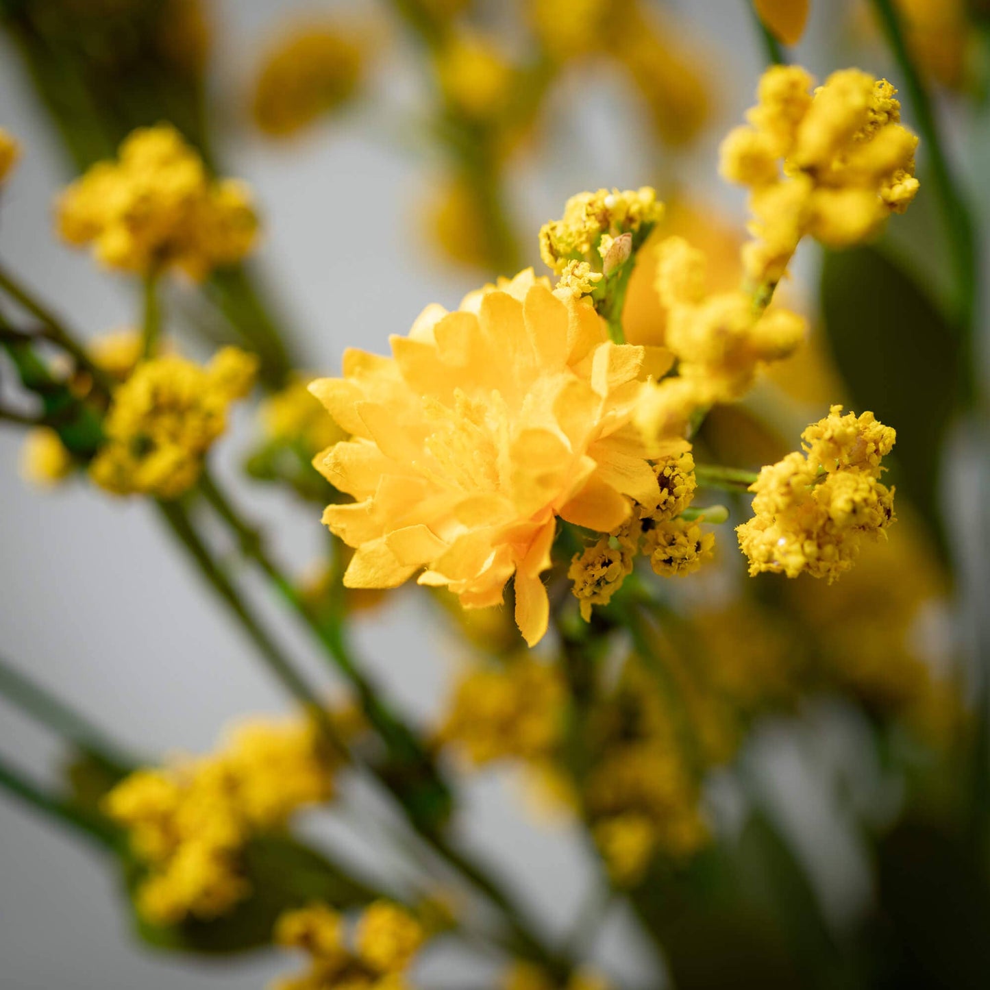Yellow Wildflower Orb