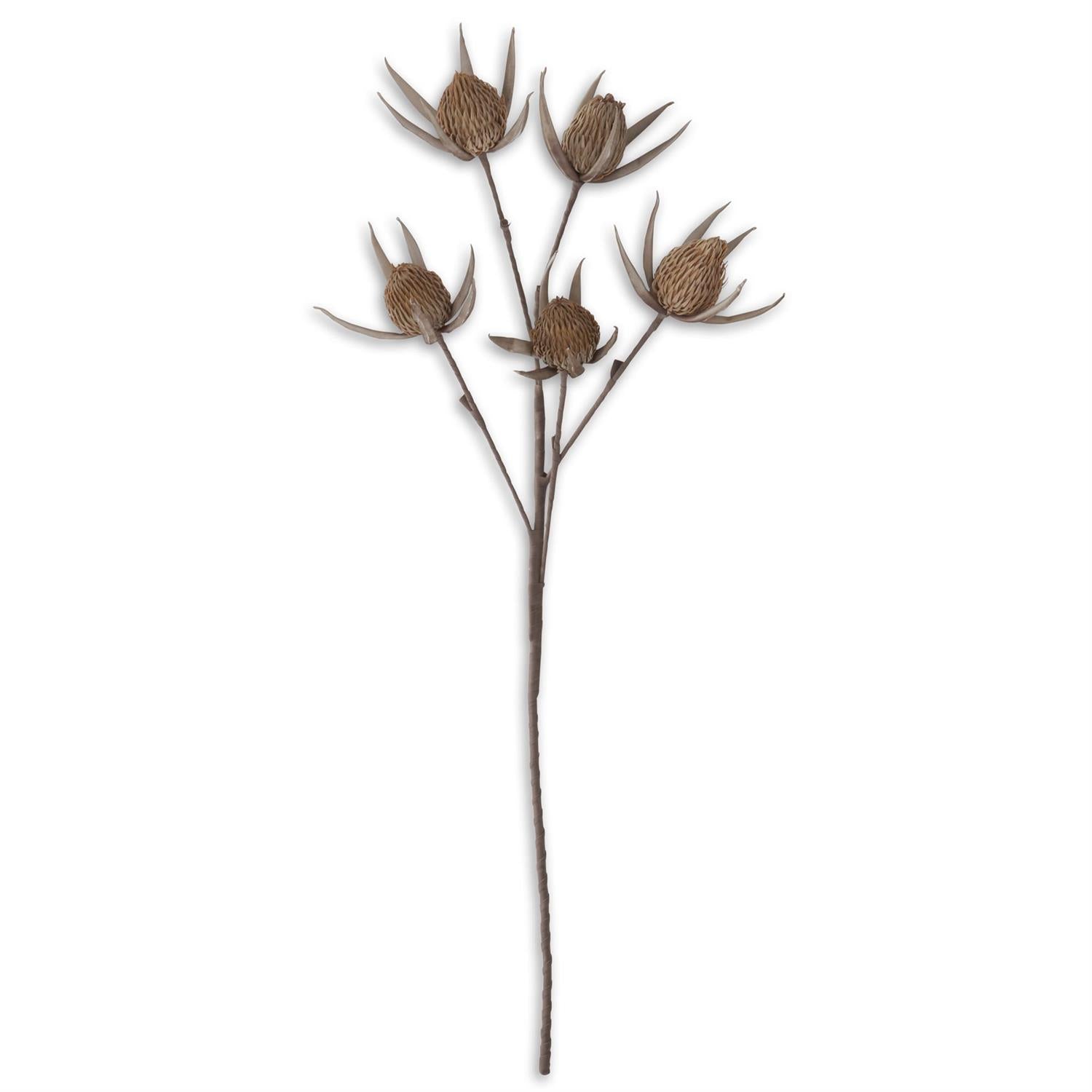 42 Inch Tan & Gray Eva 5 Bloom Stem