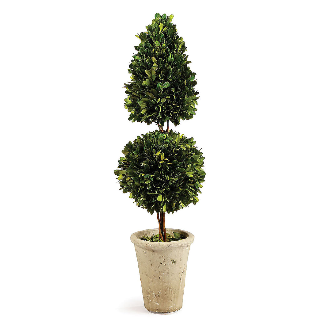 Boxwood Cone & Ball Topiary 25