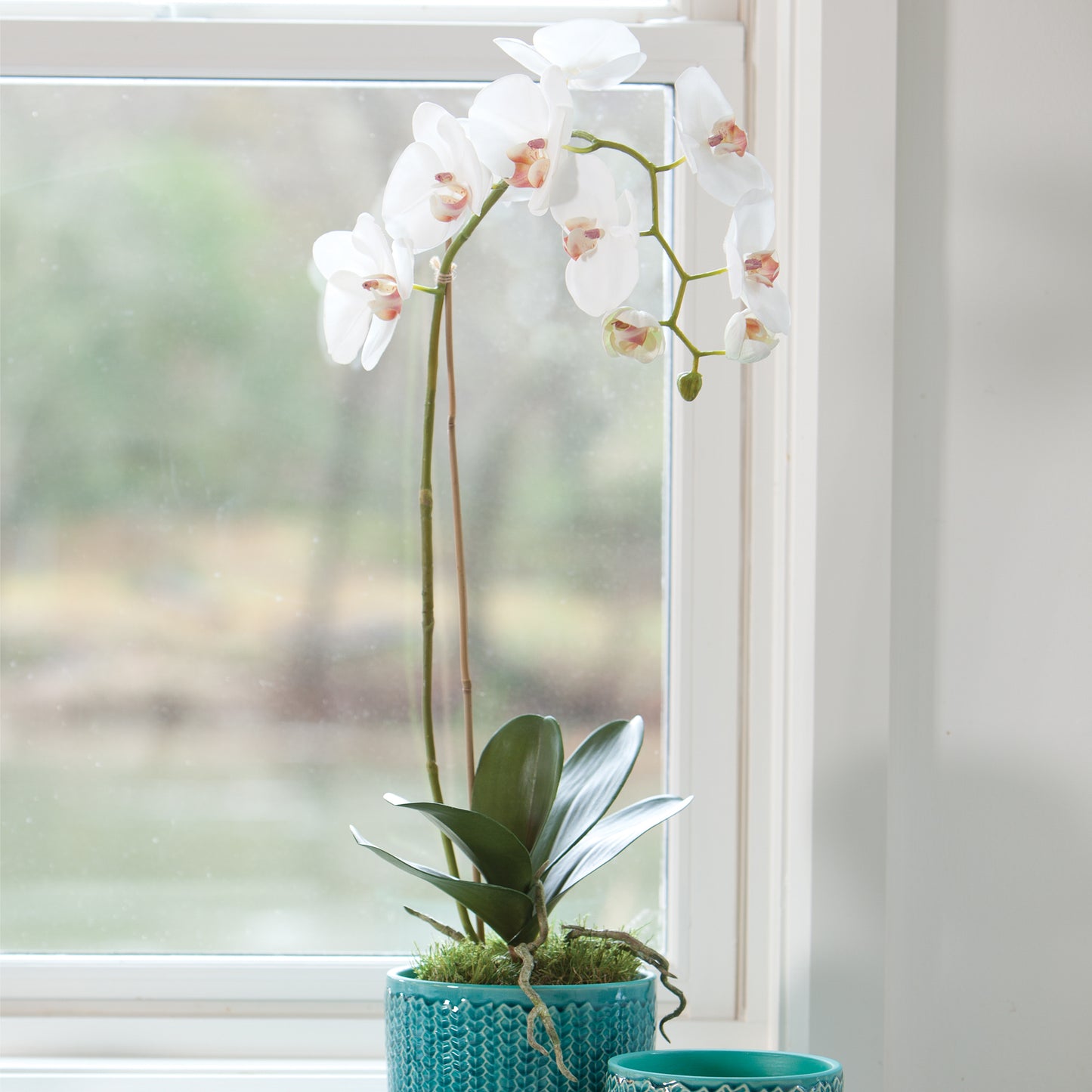 PHALAENOPSIS ORCHID DROP-IN 26"