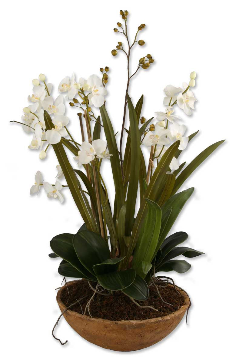 Uttermost - 60039 - Planter - Moth Orchid - Natural Brown