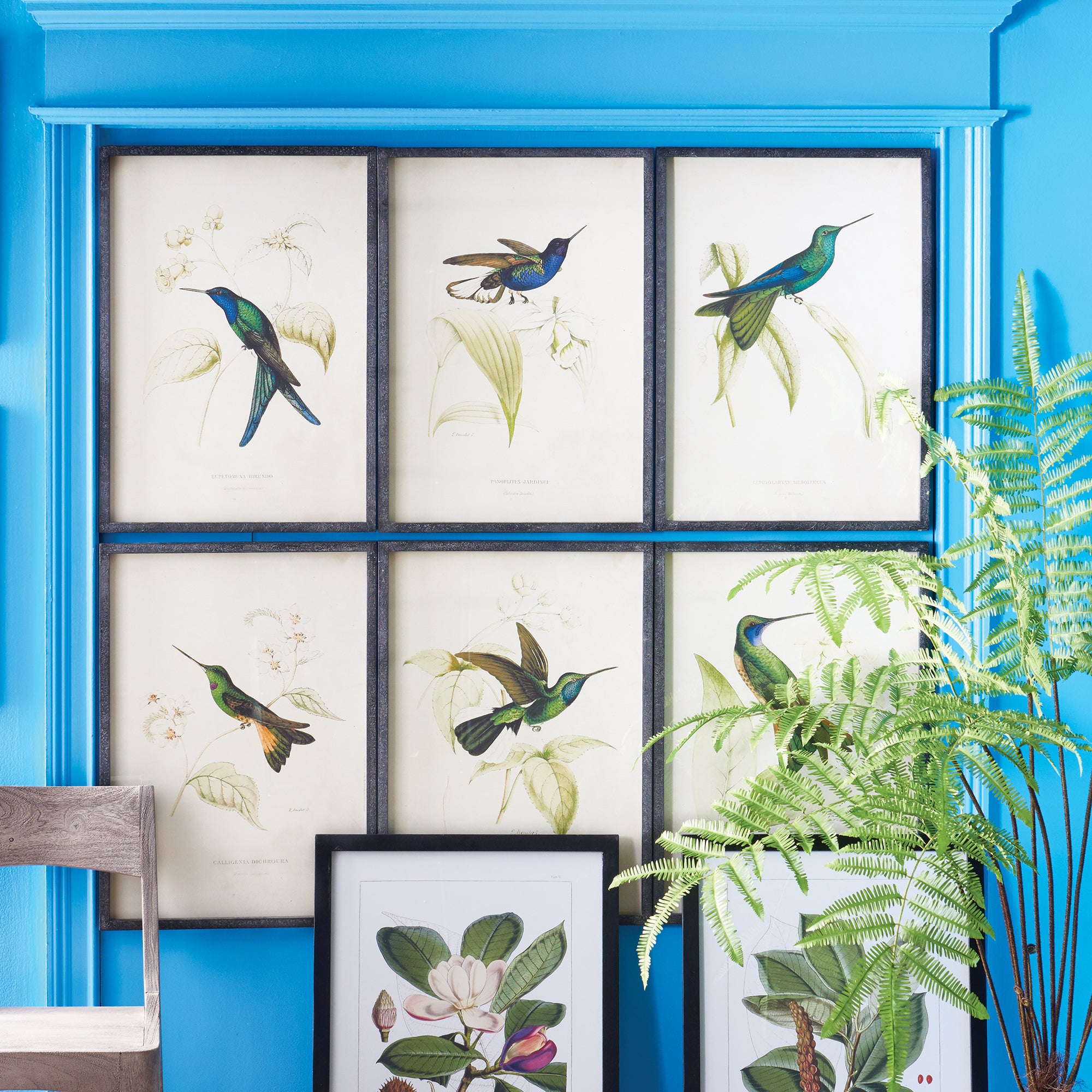 HUMMINGBIRD PRINTS, SET OF 6