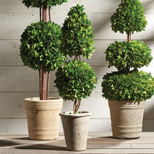 Load image into Gallery viewer, Boxwood Cone &amp; Ball Topiary 25&quot;
