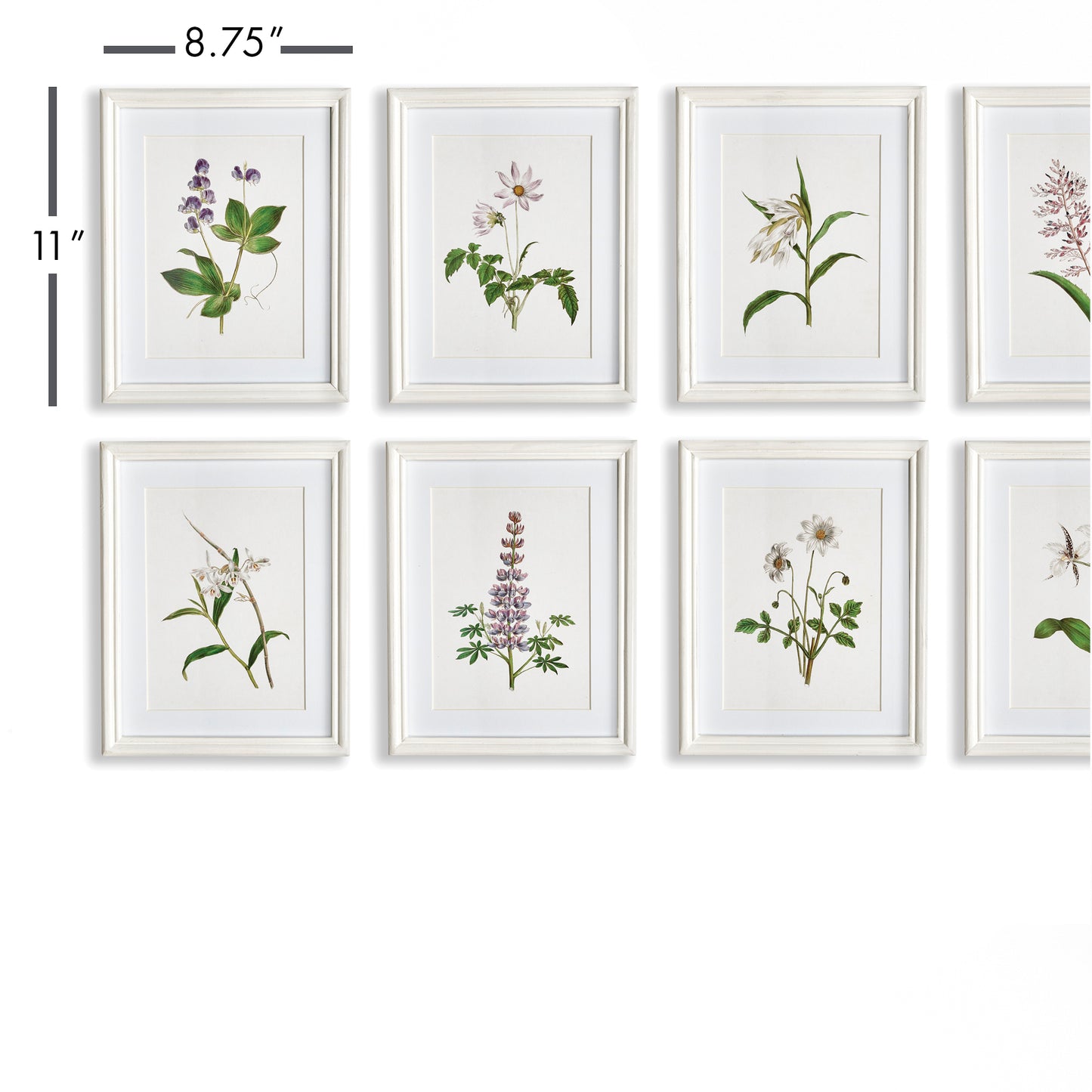 FLOWERS IN BLOOM PETITE PRINTS, SET OF 8
