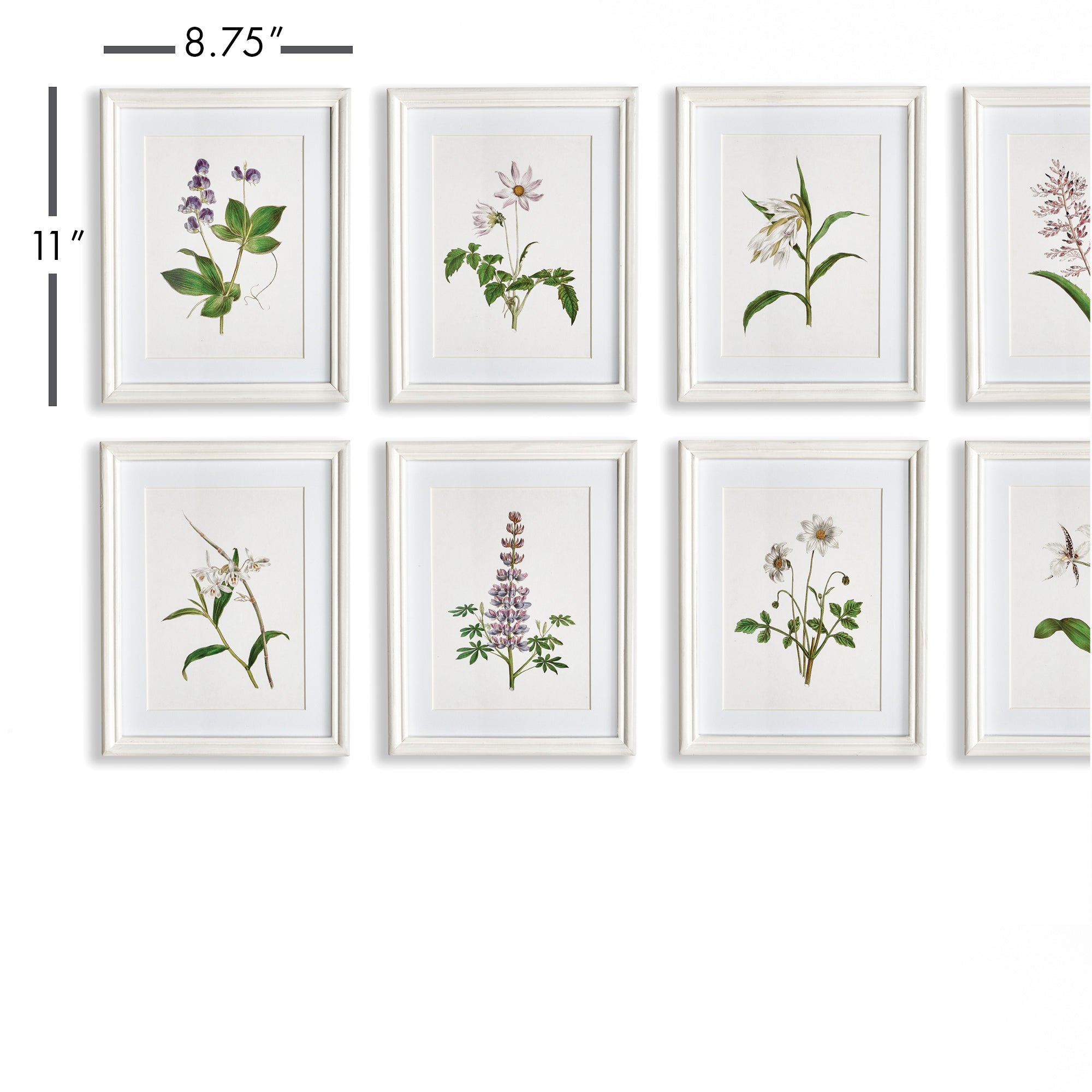 FLOWERS IN BLOOM PETITE PRINTS, SET OF 8