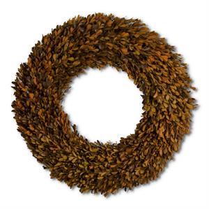Orange Preserved Boxwood Wreaths - 3 Sizes