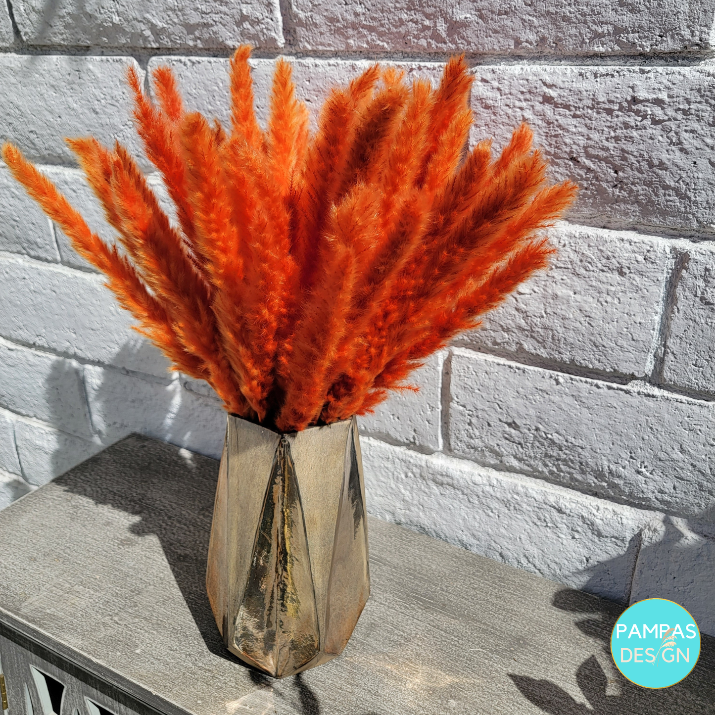 Pampas Grass Brown 30 Stems: 30 Stems / Natural Brown