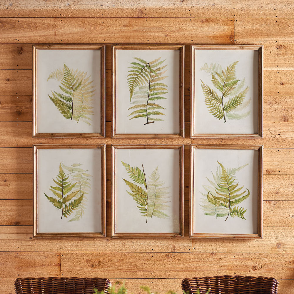 FRAMED FERN STUDY, SET OF 6