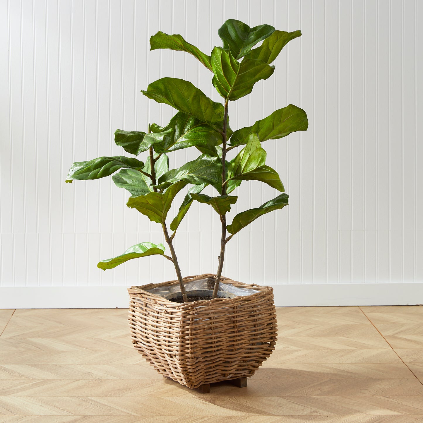 SYLVIE SQUARE TAPER BASKET SMALL