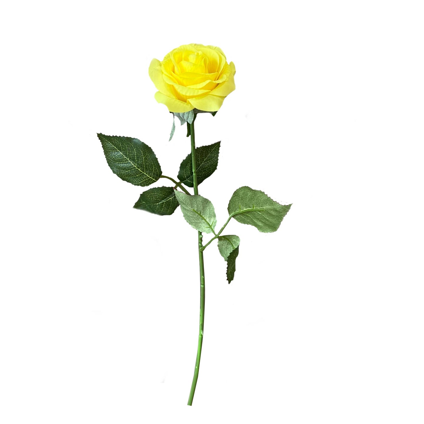 Pack of 48 stems-real touch rose: Stark White