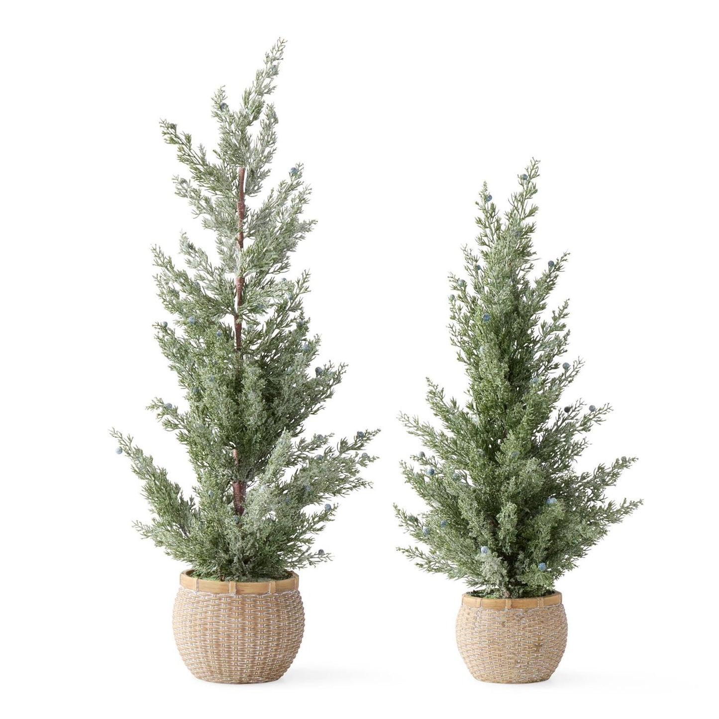 Frosted Juniper Trees w/Blue Berries in Ceramic Wicker Pot-2 Sizes