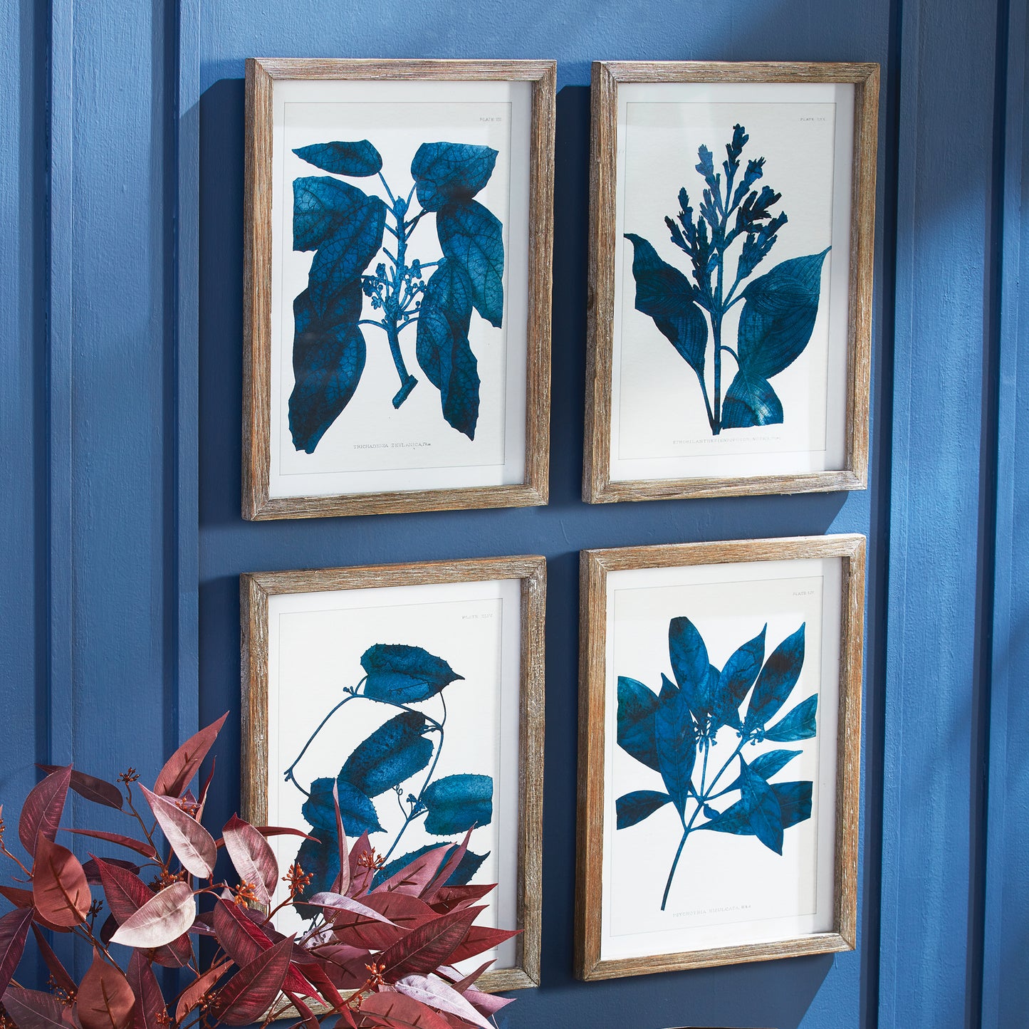 INDIGO BOTANICALS, SET OF 4
