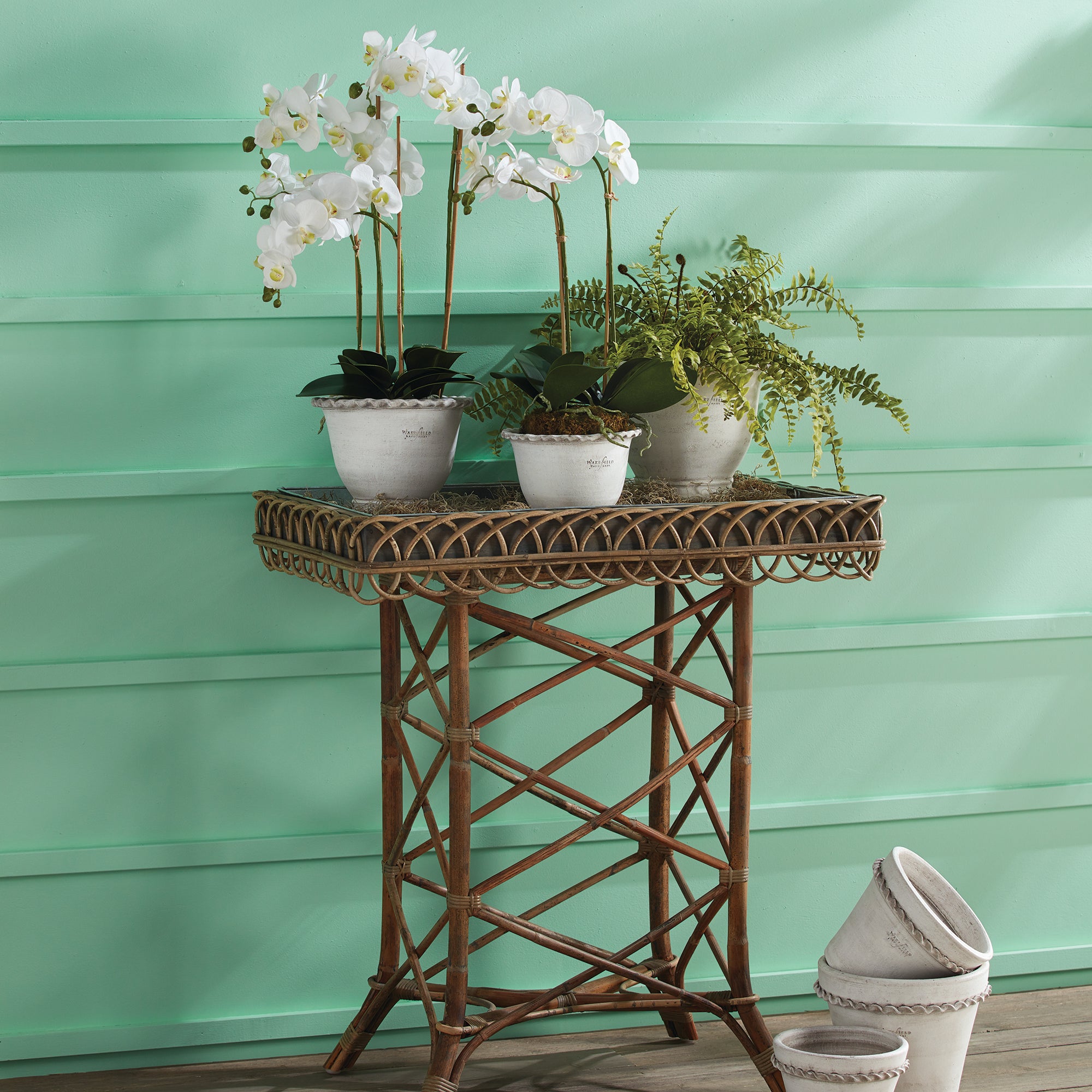 BOSTON FERN DROP-IN 16"