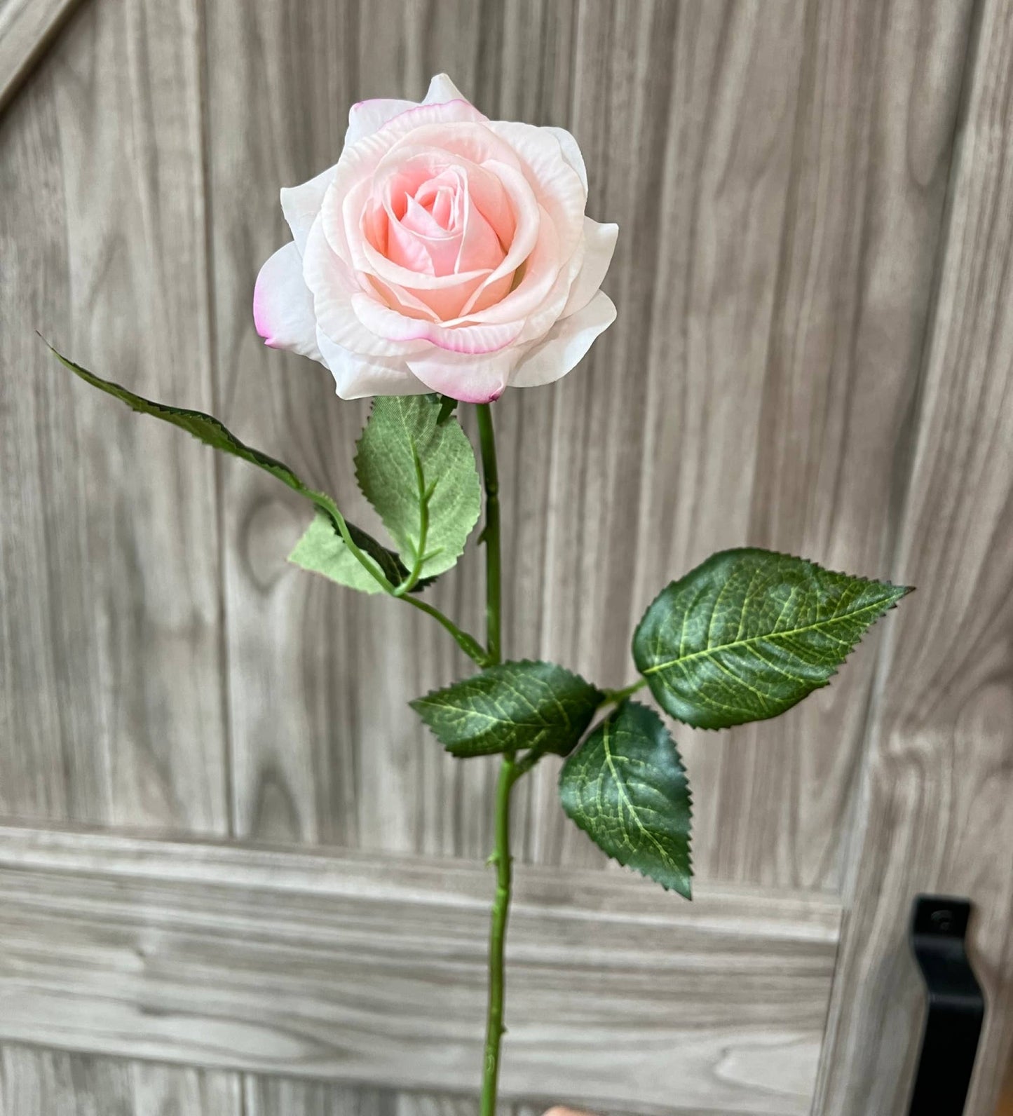 Pack of 48 stems-real touch rose: Stark White