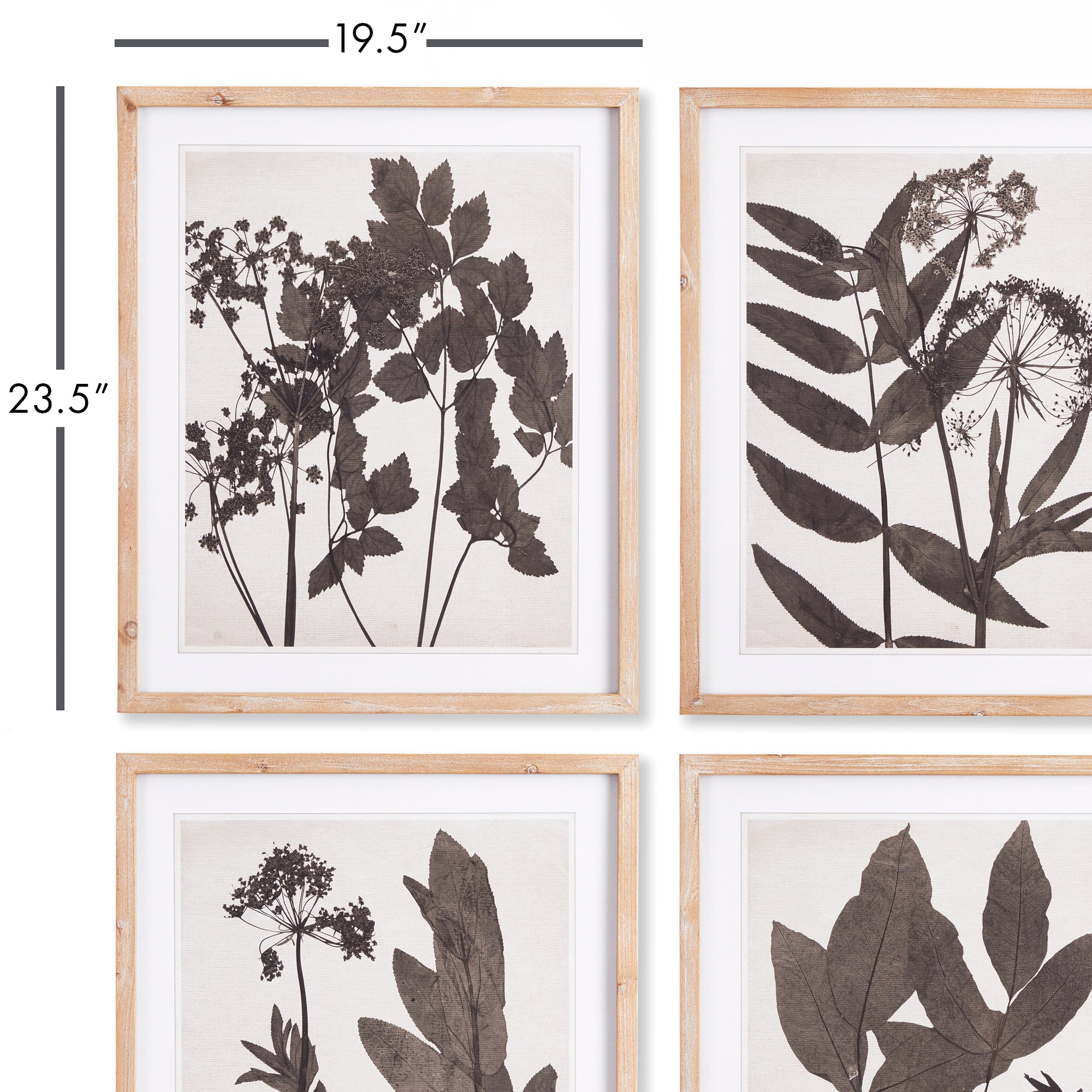 PRESSED FOLIAGE PRINTS, SET OF 4