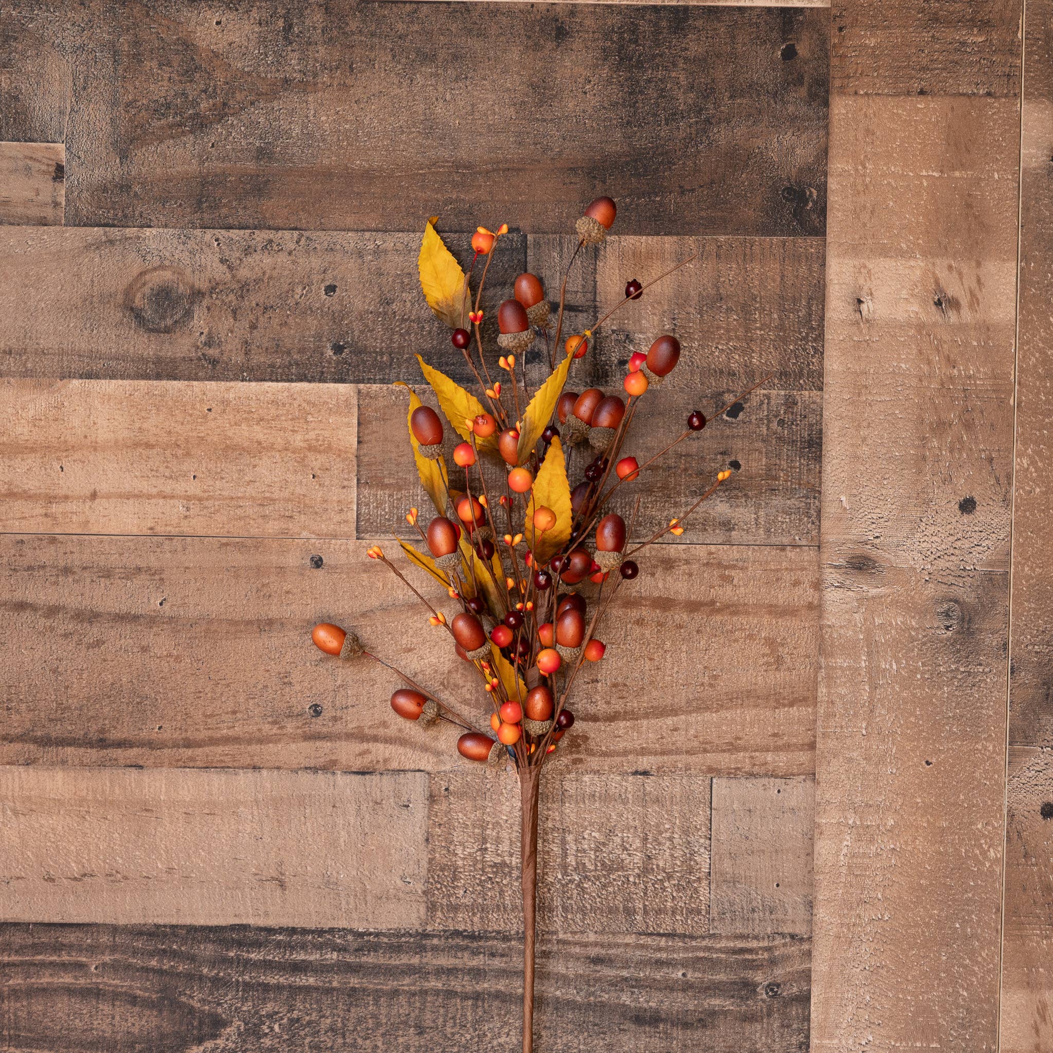 Acorn Harvest Stem - 22 Inch