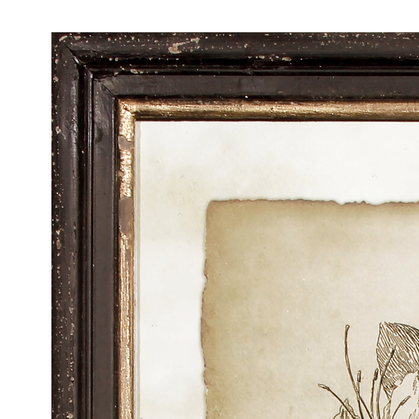 FRAMED VINTAGE FLORAL PRINTS, SET OF 6