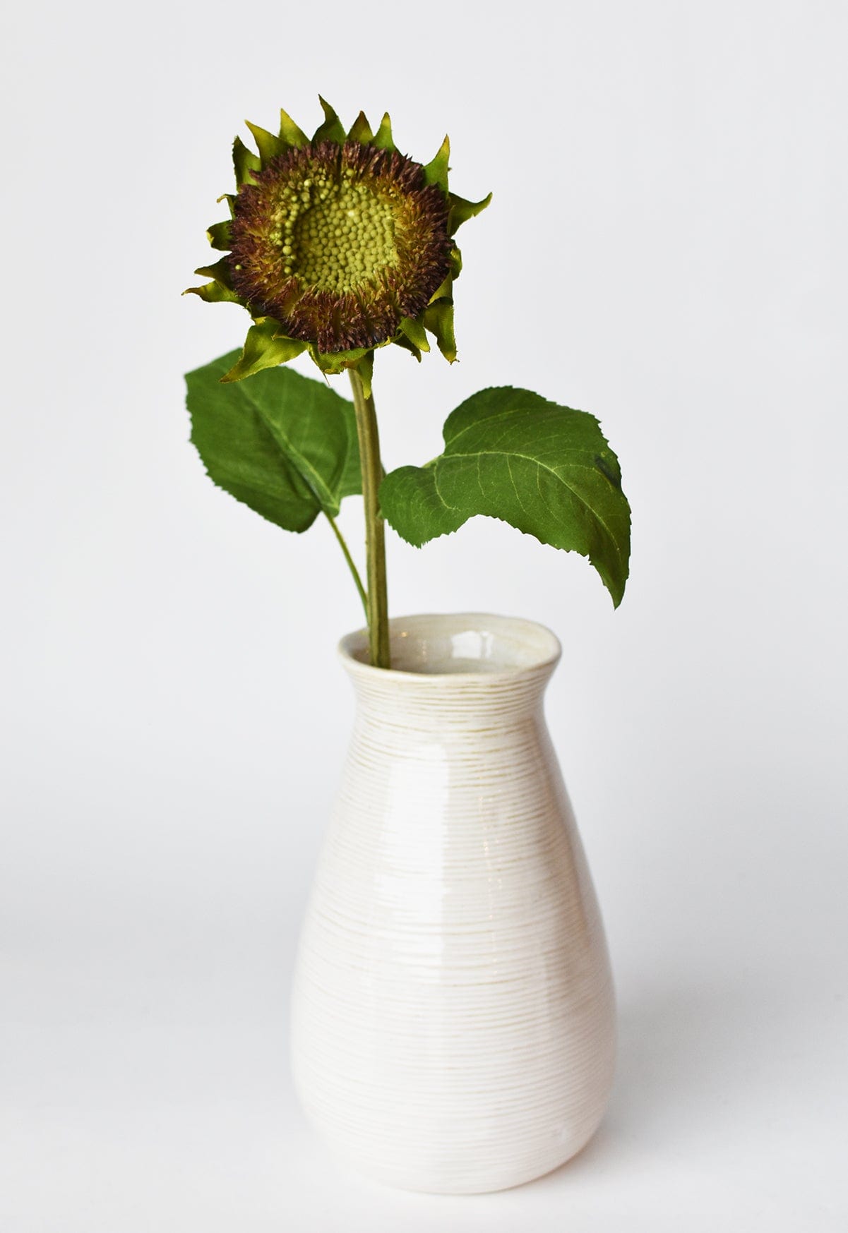 28" Aged Brown Sunflower Stem