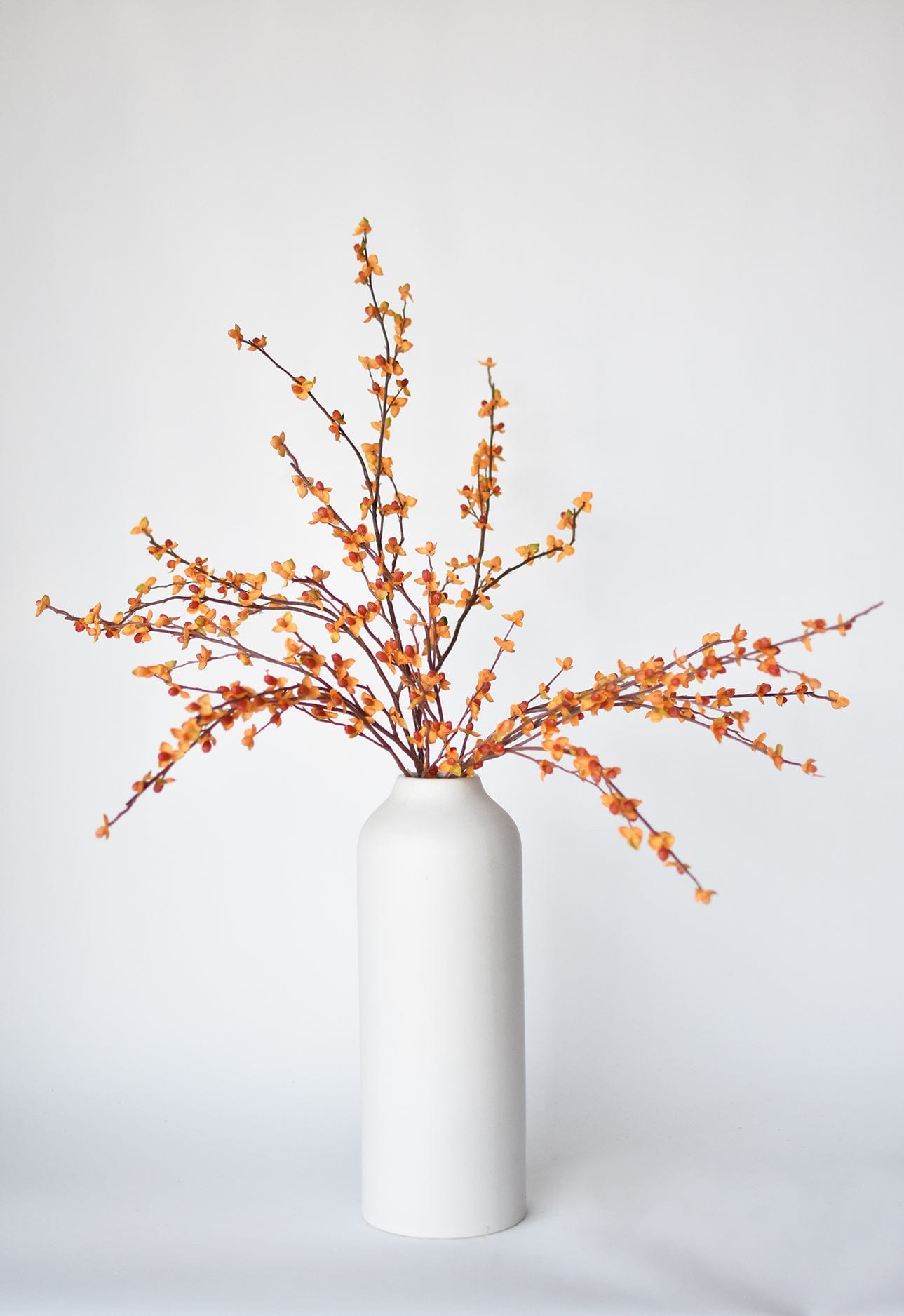 32" Faux Bittersweet Stem