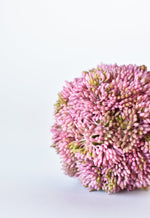 4" Faux Mauve Sedum Ball