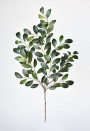 26" Faux Ruscus Leaf Stem