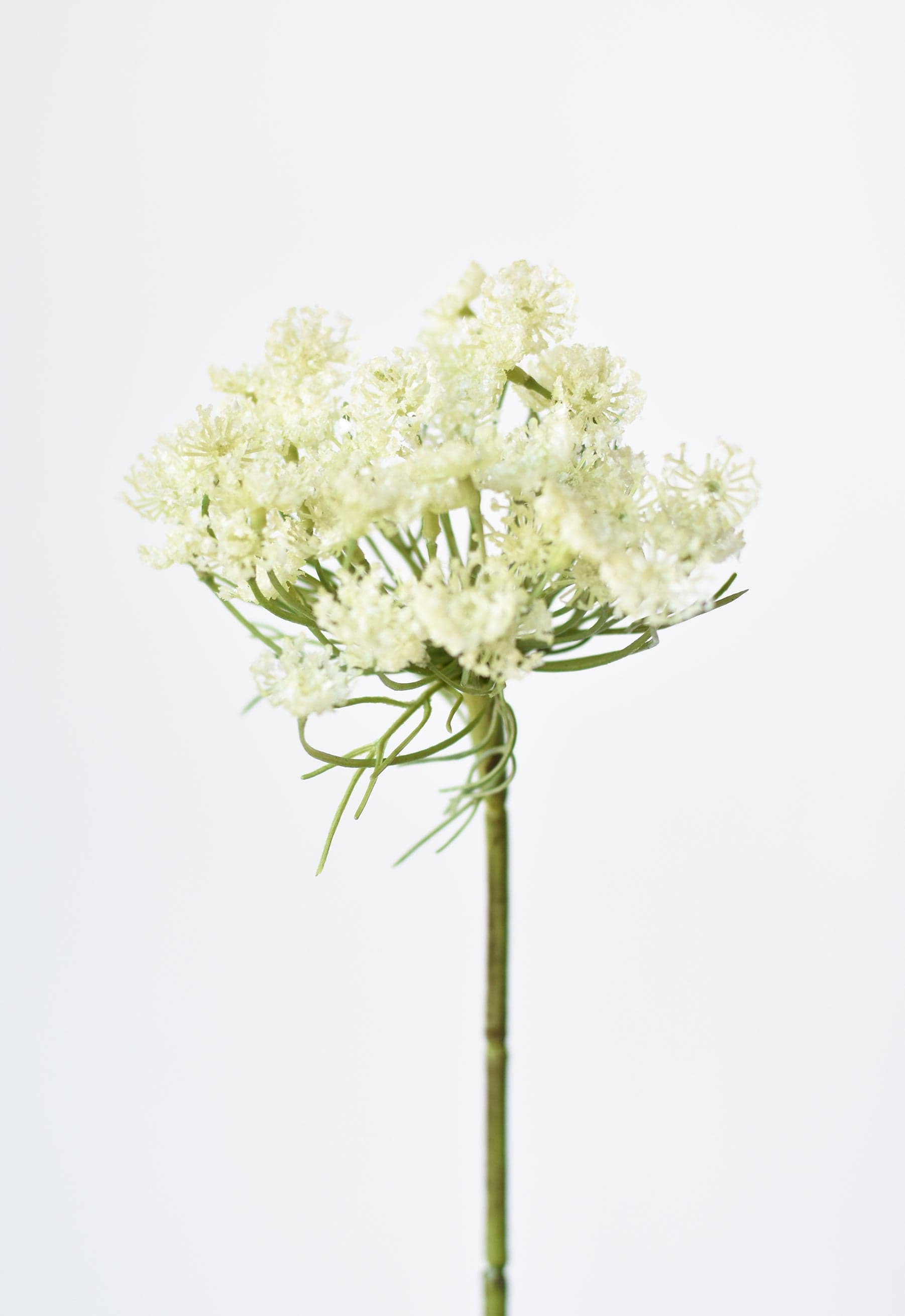 23" Faux White Queen Anne's Lace Stem