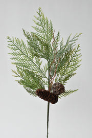 22" Incense Cedar with Pine Cones