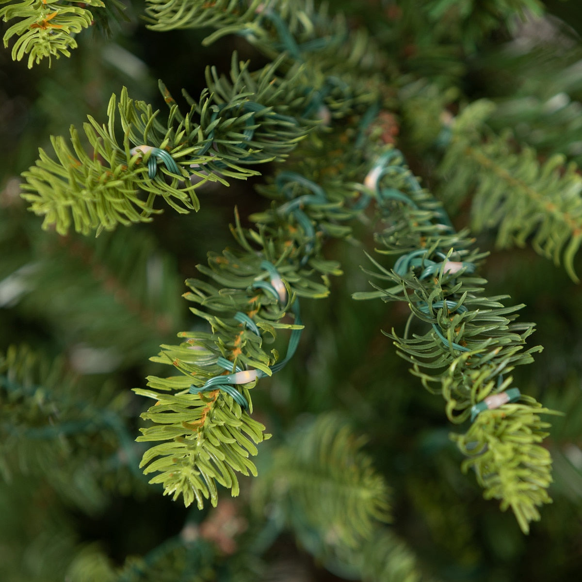 9' Great Northern Spruce Tree with Micro LED Lights | Elegant Holiday Tree