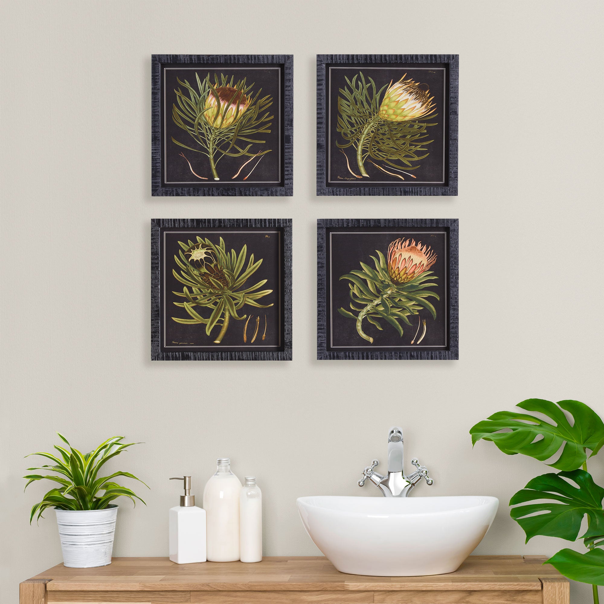 PROTEA PETITE PRINTS, SET OF 4