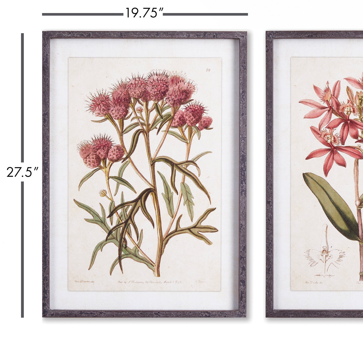 PRETTY IN PINK VINTAGE PRINTS, SET OF 2