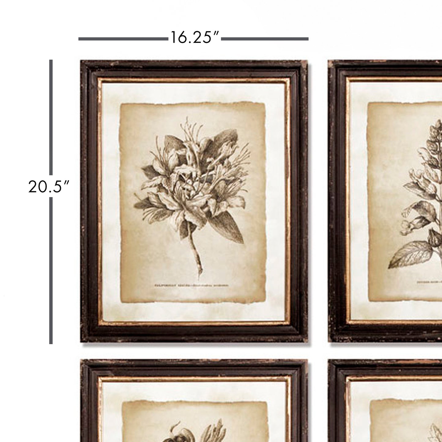 FRAMED VINTAGE FLORAL PRINTS, SET OF 6
