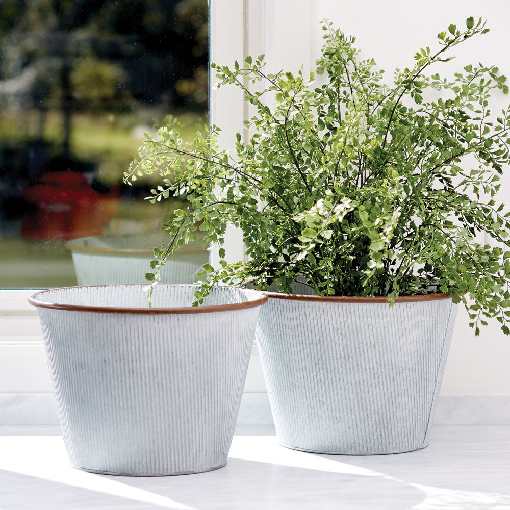 MAIDENHAIR DROP-IN 23"