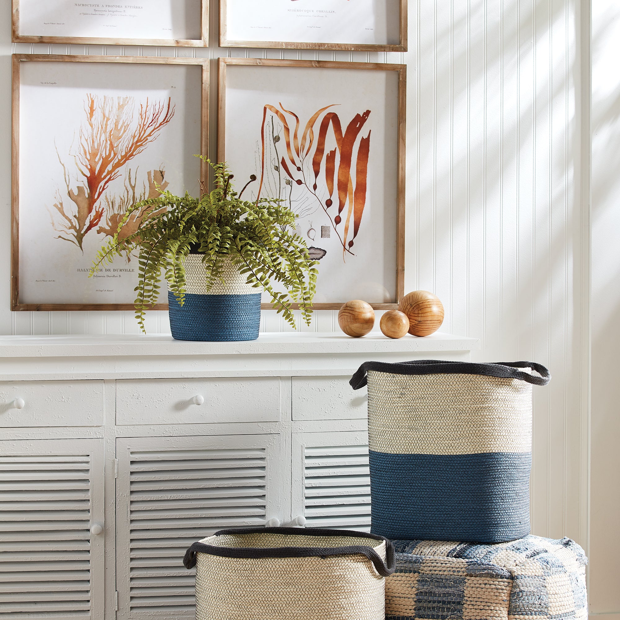 BOSTON FERN DROP-IN 16"