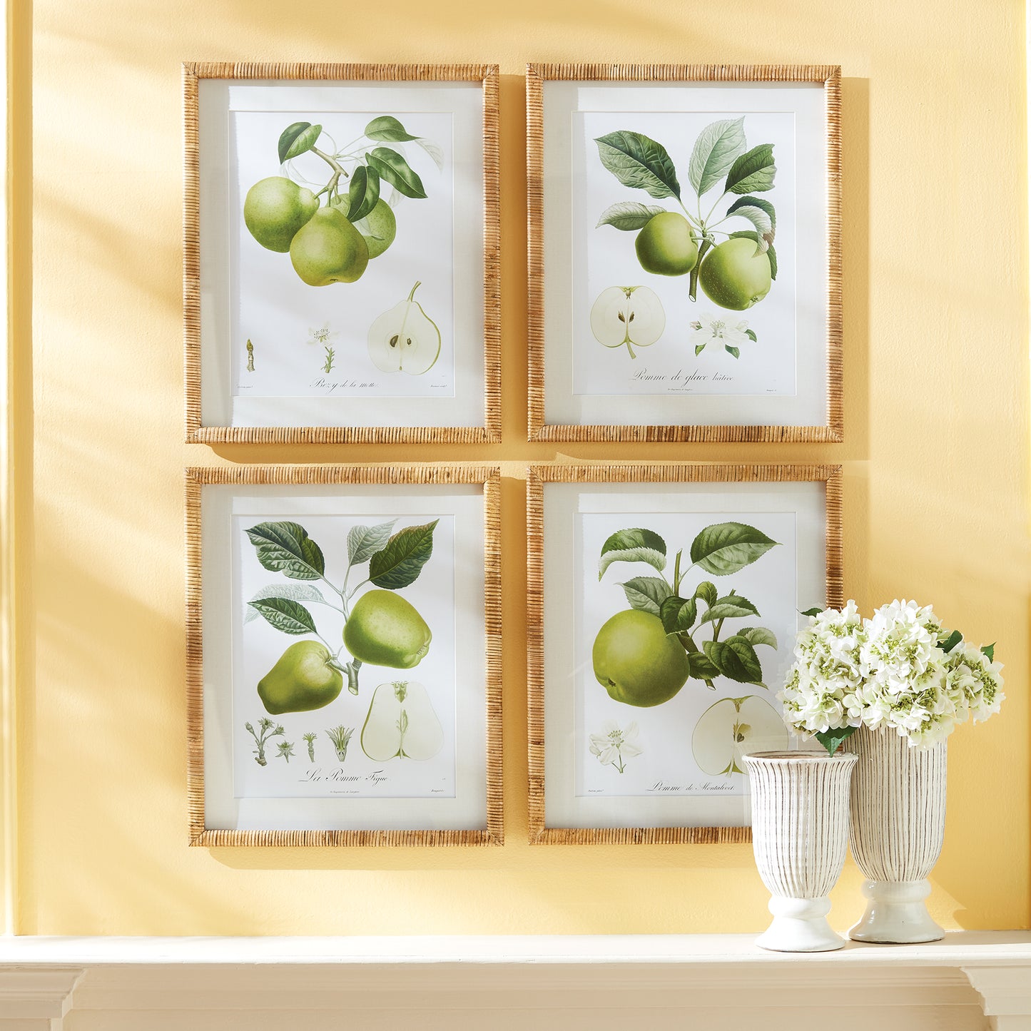 FRUIT STUDY, SET OF 4