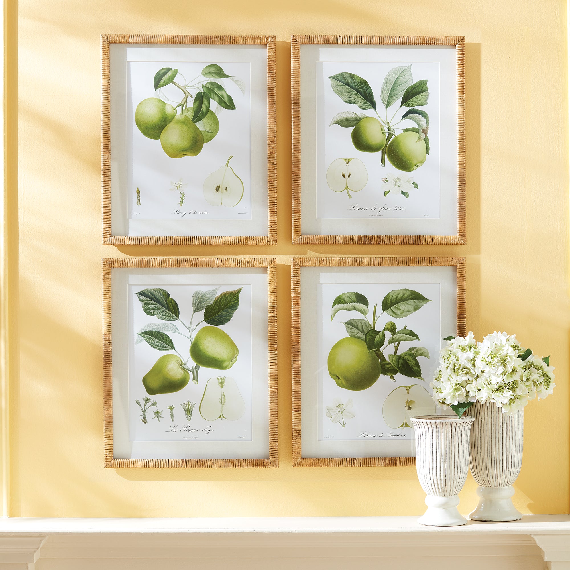 FRUIT STUDY, SET OF 4