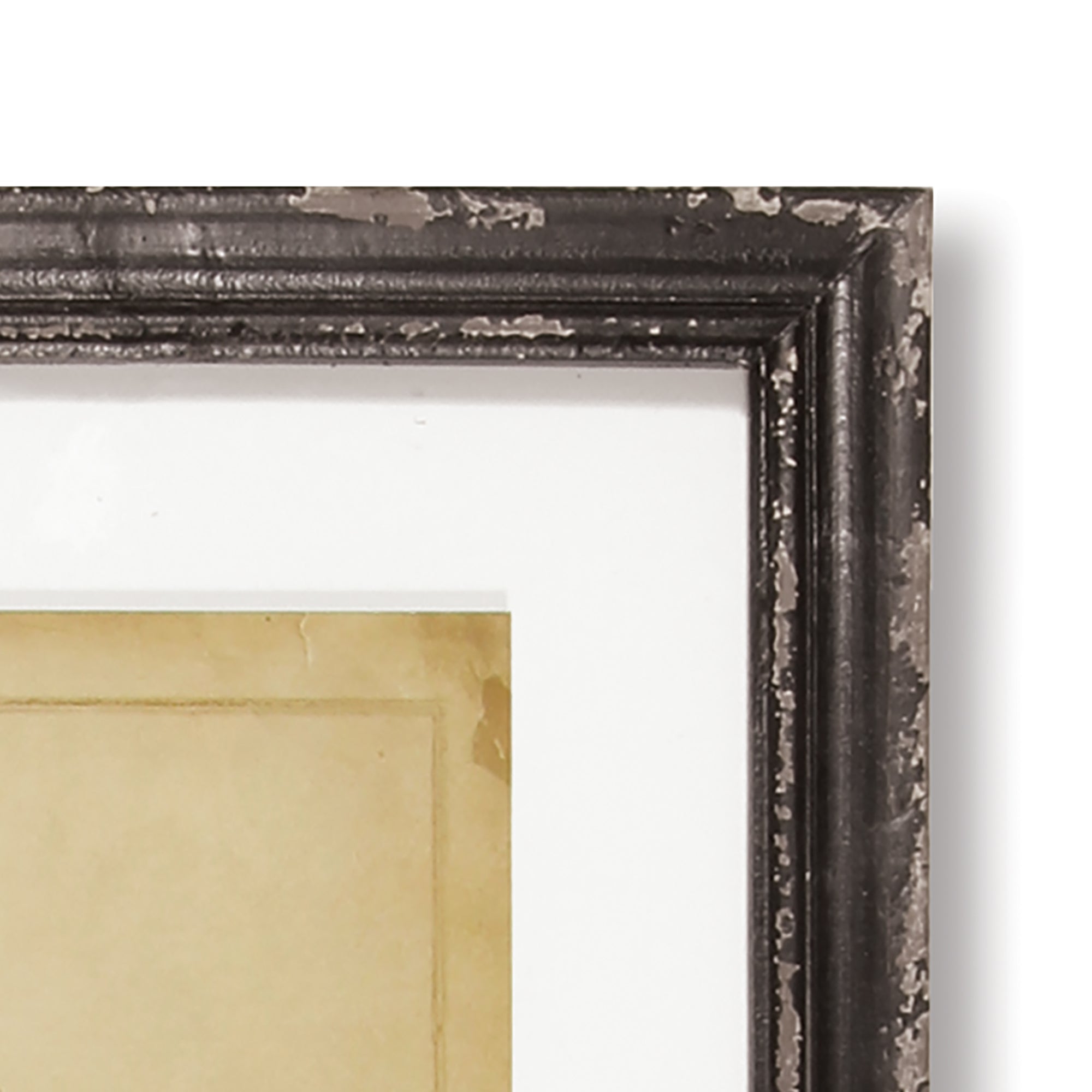 FRAMED VINTAGE FERN PRINTS, SET OF 8