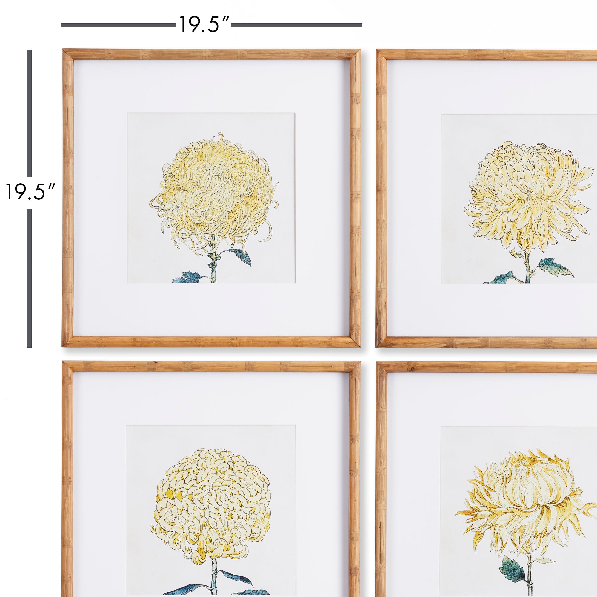 CHRYSANTHEMUM PRINTS, SET OF 4