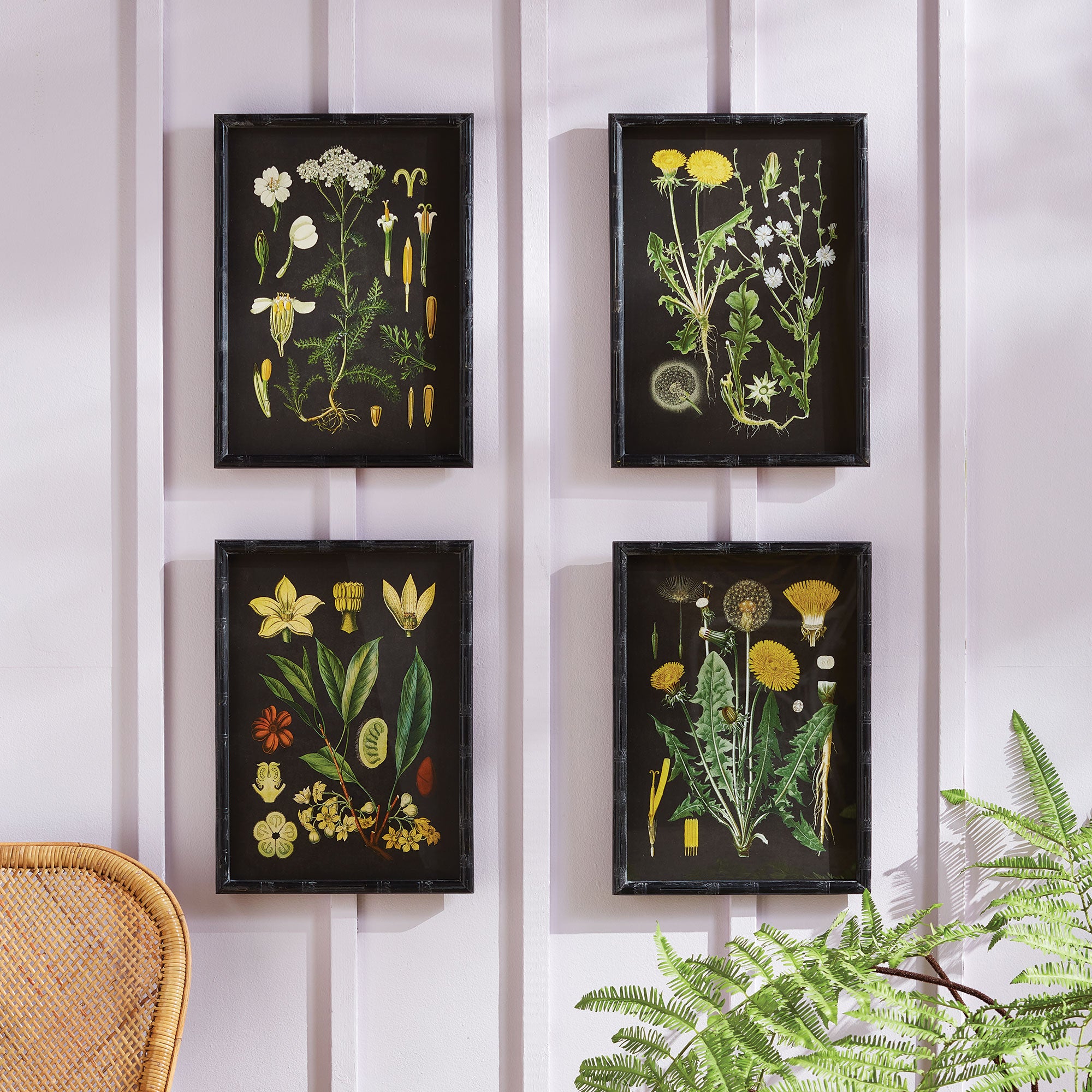 GOLDEN BOTANICAL STUDY, SET OF 4