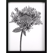 Simple Floral - Grow / 42 H x 33 W x 03 D