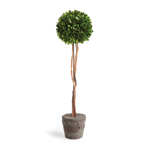 Boxwood Single Sphere Topiary Drop-In 24"