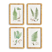 Forest Fern Prints, Set Of 4
