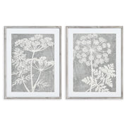 Blooming Queen Anne'S Lace Prints, Set Of 2
