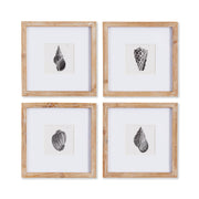 Seashell Petite Prints, Set Of 4