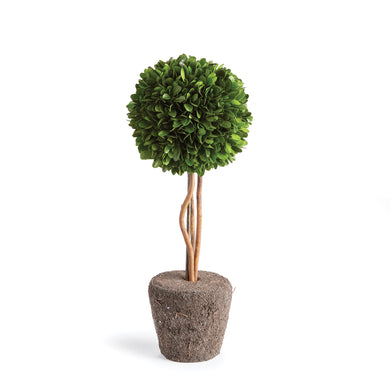 Boxwood Single Sphere Topiary Drop-In 16