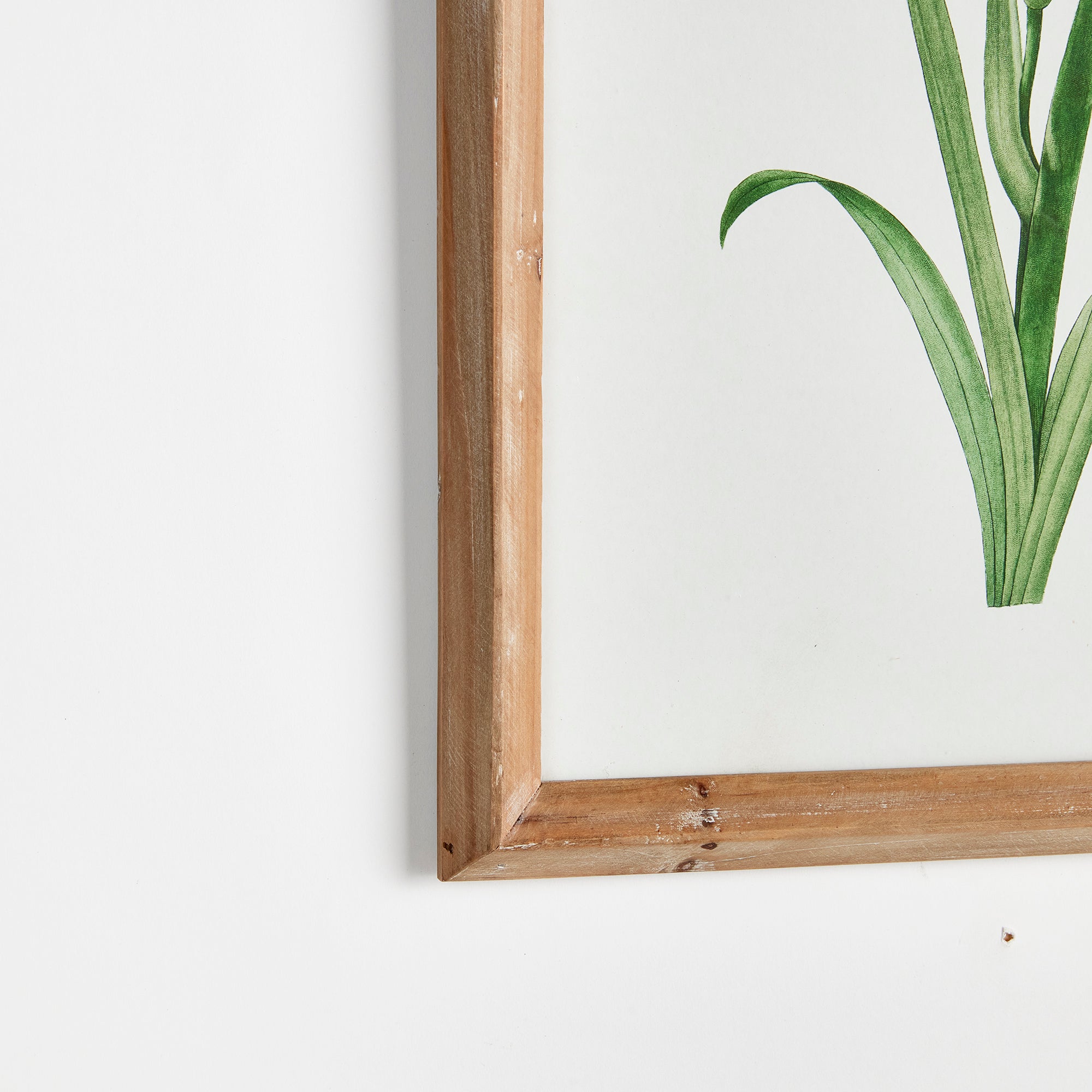 GARDEN BLOOM PRINTS, SET OF 4