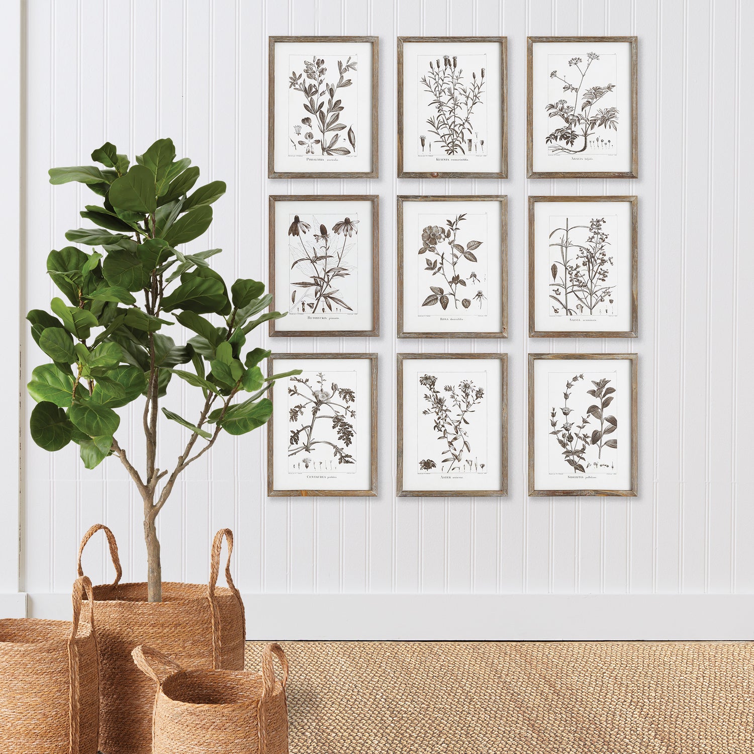 DISCONTINUED Rustic Foliage Study, Set Of 9